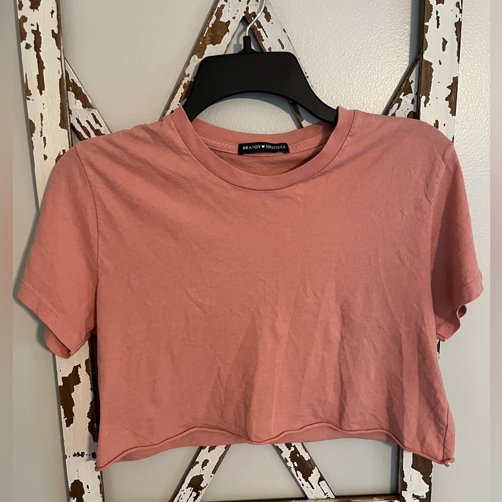 Brandy Melville Pink Crop‎ Top T-shirt